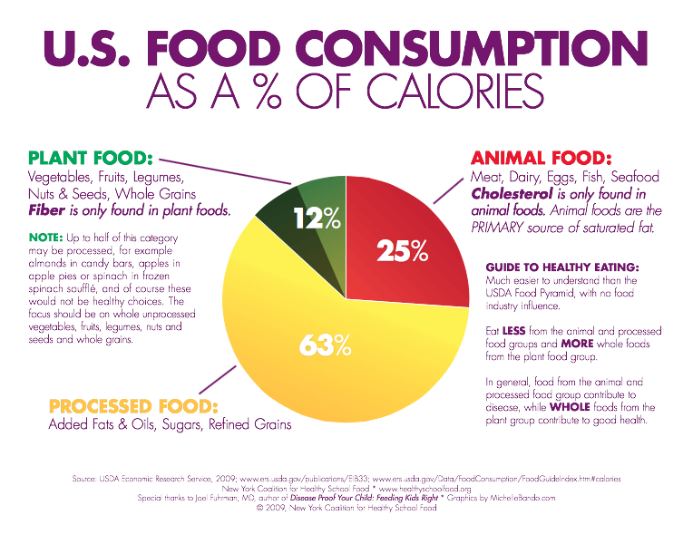 US Food Consumption % of calories SAD diet chart
