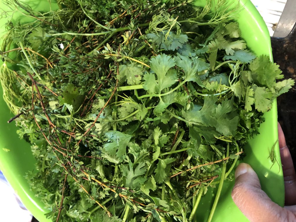 fresh parsley, cilantro, dill and thyme in a collander
